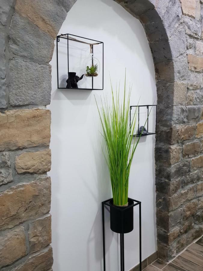 Studio קופר מראה חיצוני תמונה